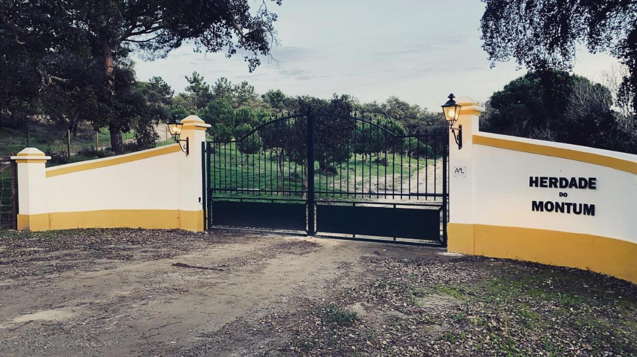 منزل الضيف ميليد  في Montum Farm Living المظهر الخارجي الصورة