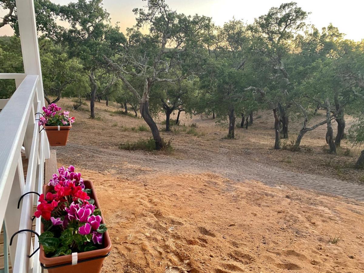 منزل الضيف ميليد  في Montum Farm Living المظهر الخارجي الصورة