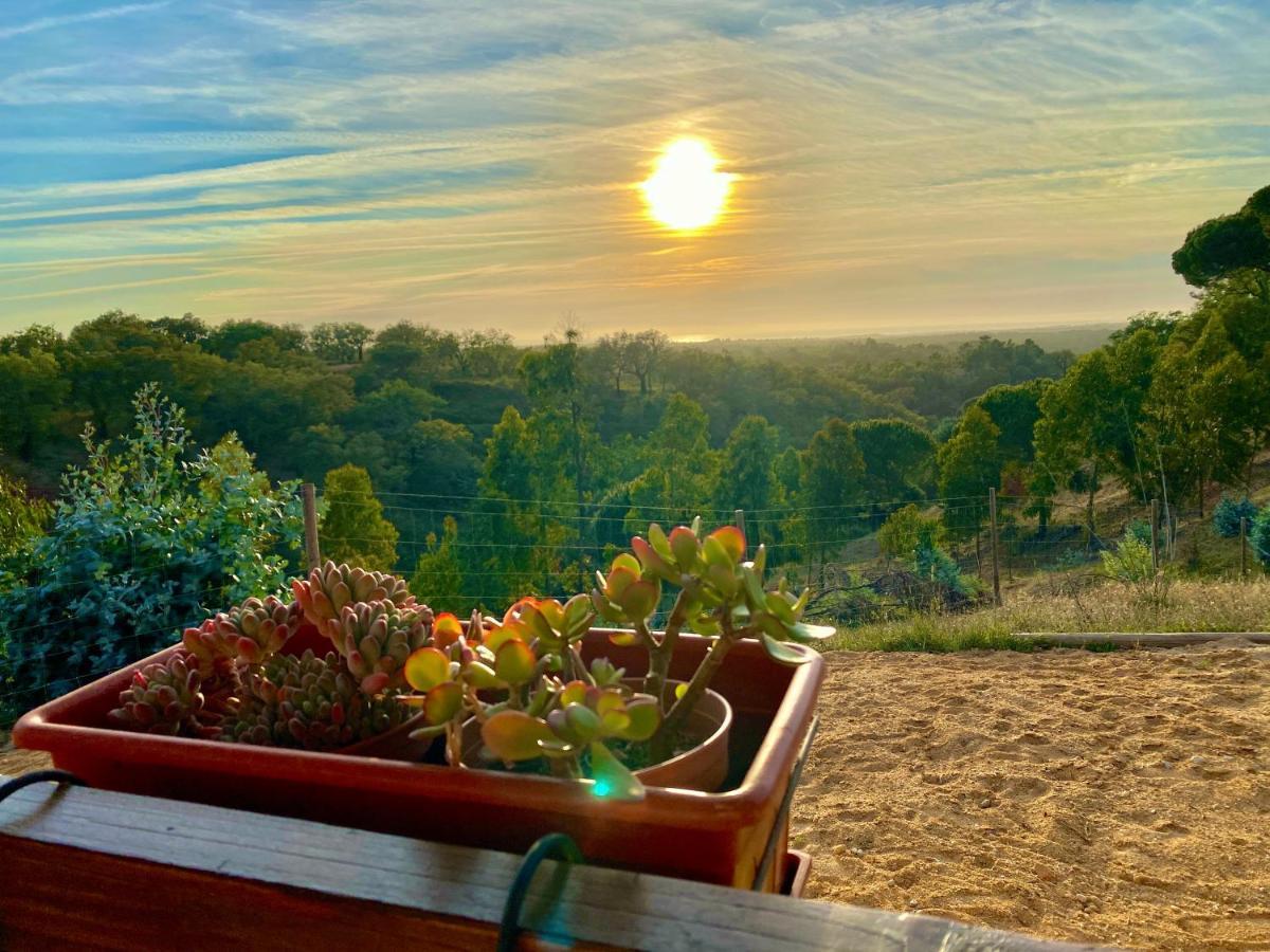 منزل الضيف ميليد  في Montum Farm Living المظهر الخارجي الصورة