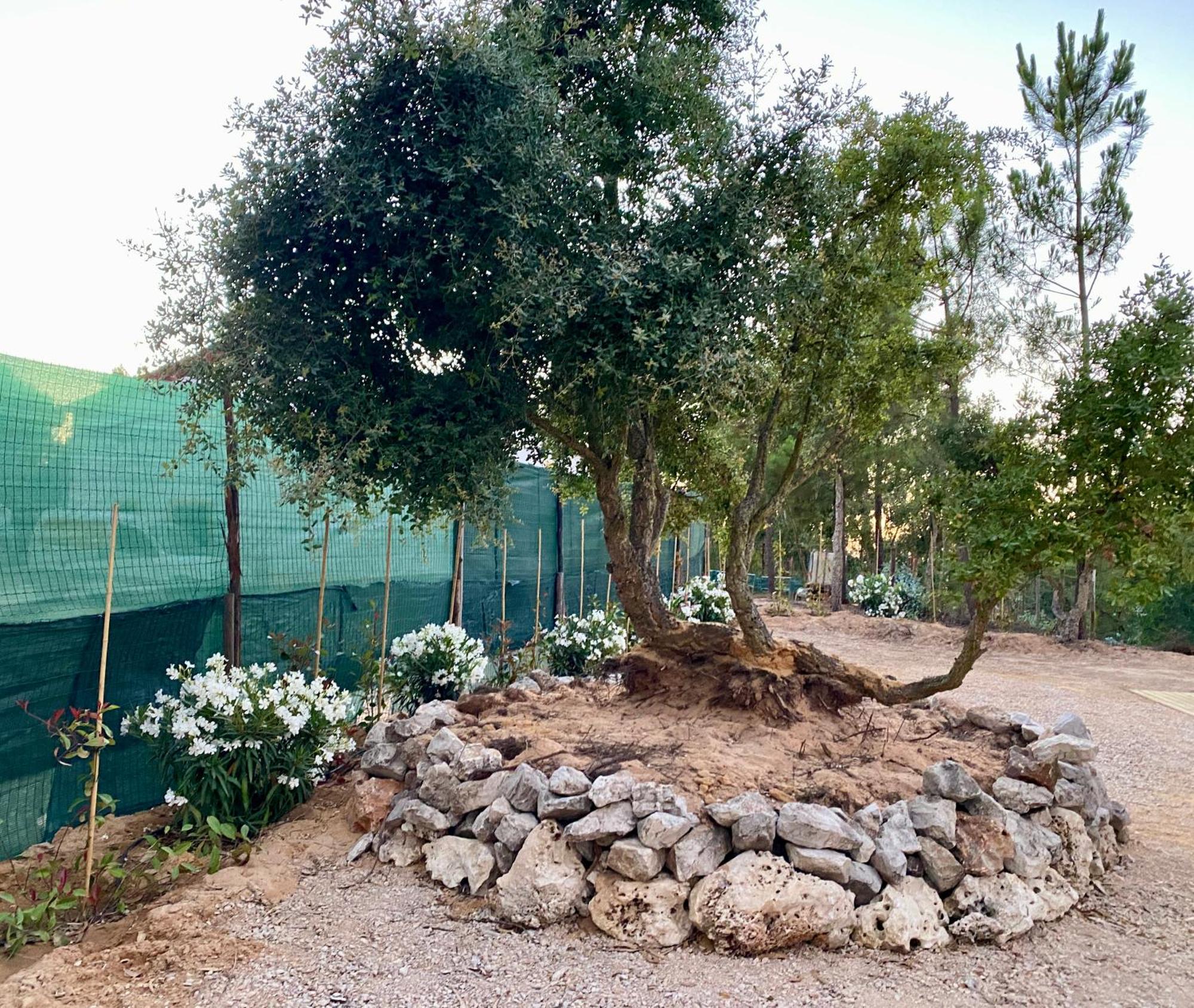 منزل الضيف ميليد  في Montum Farm Living المظهر الخارجي الصورة