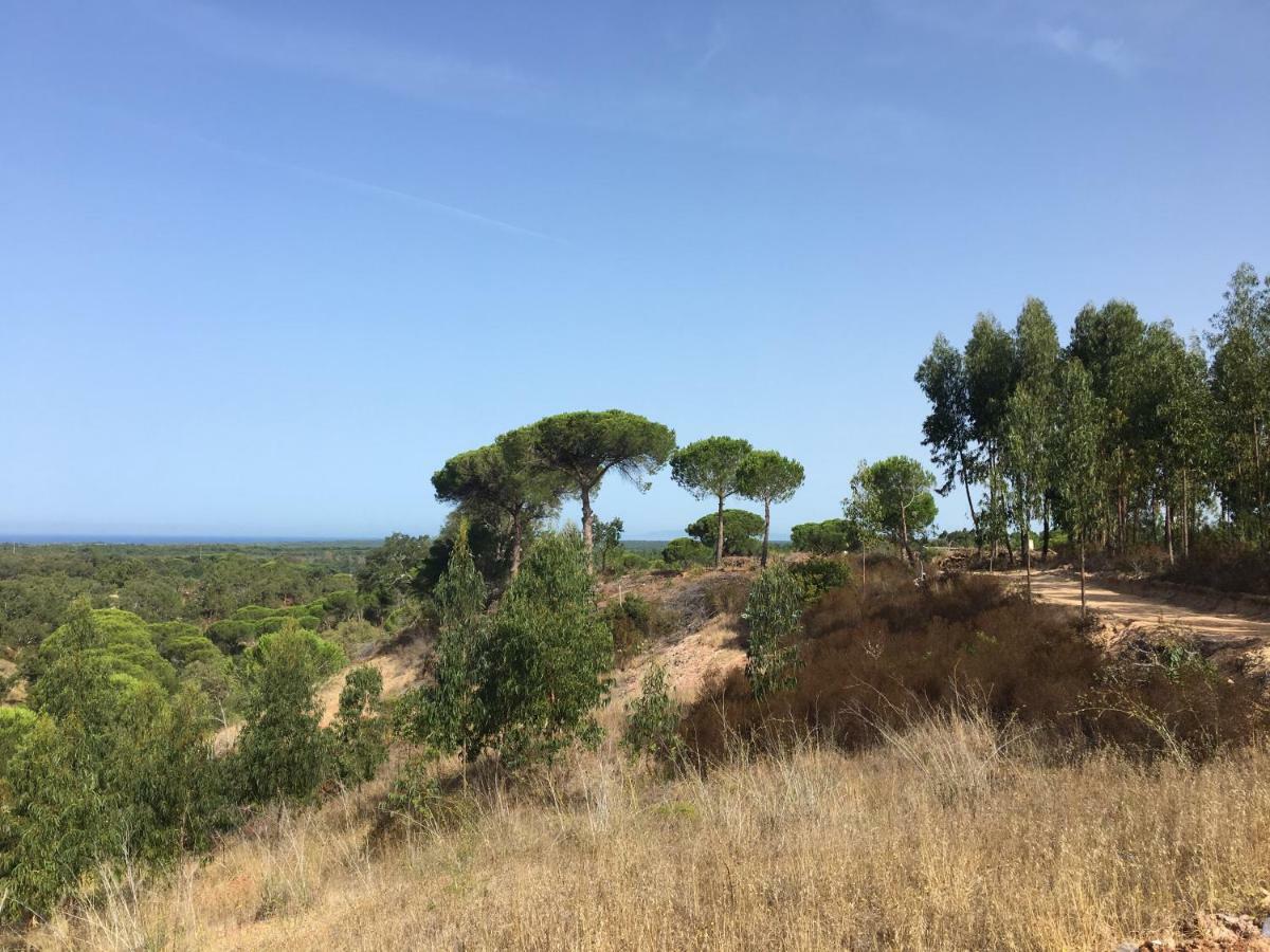 منزل الضيف ميليد  في Montum Farm Living المظهر الخارجي الصورة