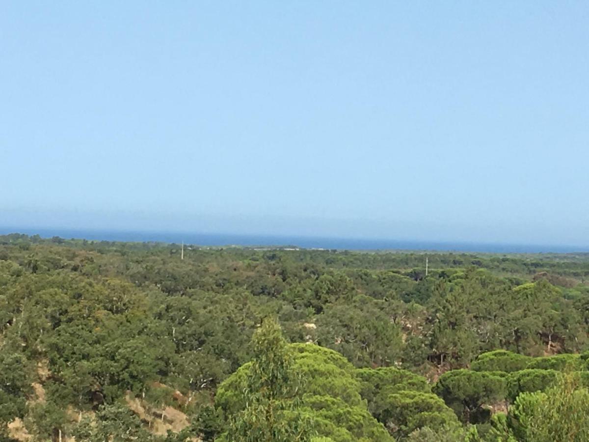 منزل الضيف ميليد  في Montum Farm Living المظهر الخارجي الصورة